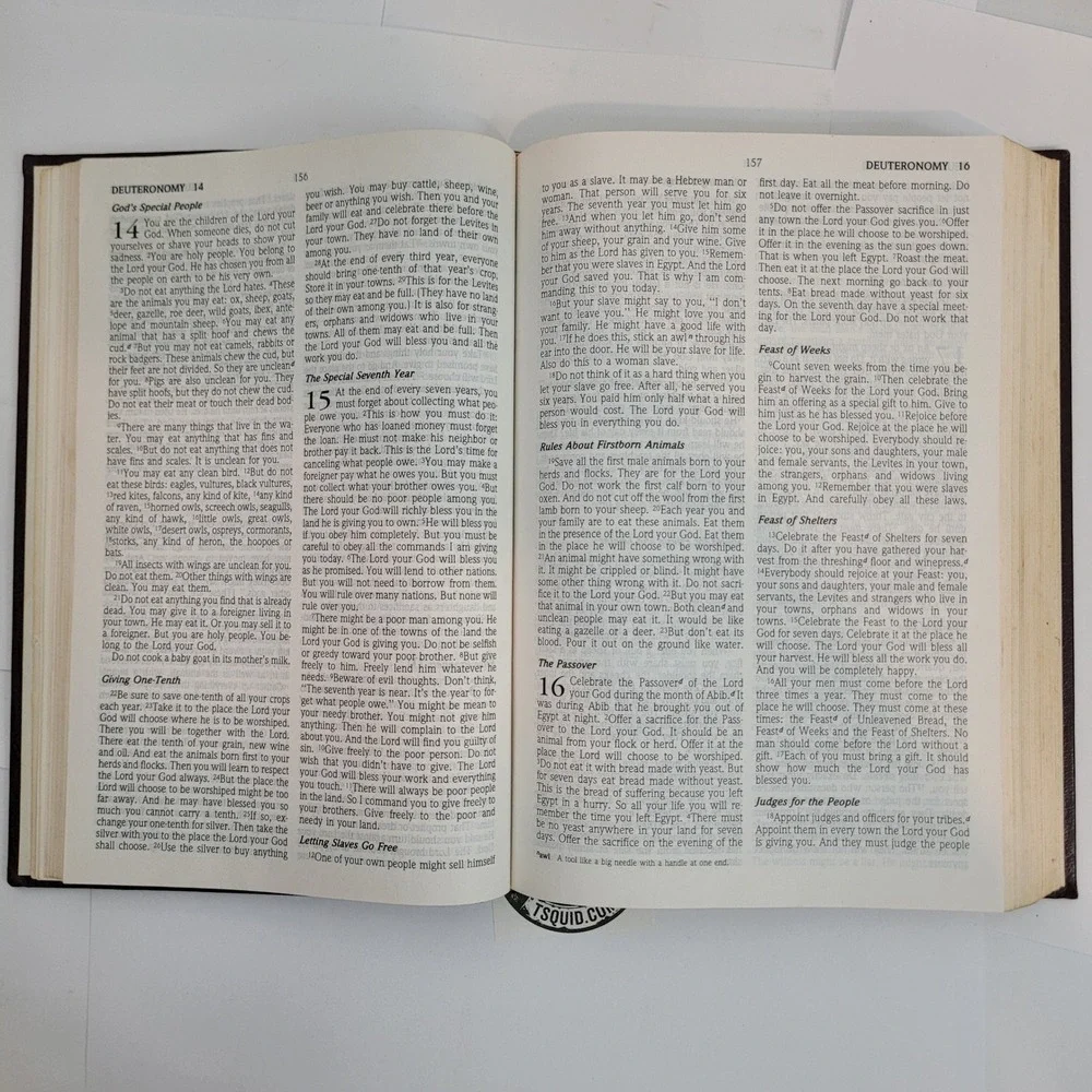 Worthy The Everyday Bible NCV Burgundy Hardcover Concordance Religious Book